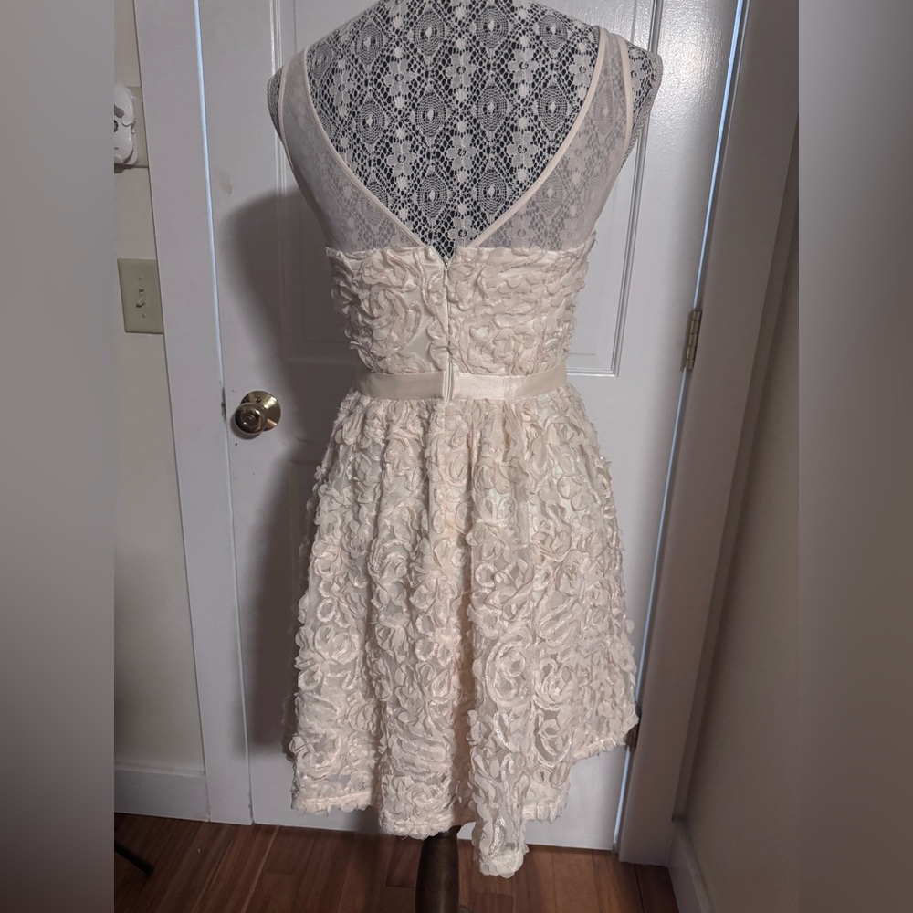 Minuet Elegant Cream Floral Dress - Picture 3 of 11
